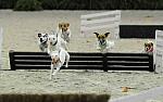 WIHS2-10-30-10-8637-DDeRosaPhoto.JPG
