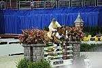 WIHS2-10-28-10-4843-Esplanade7-McLainWard-DDeRosaPhoto.jpg