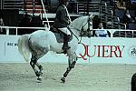 WIHS2-10-29-10-Puissance-6642-G-CBlanchee-PabloBarrios-DDeRosaPhoto.jpg