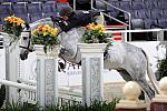 WIHS2-10-27-10-Cl24-1stYrGrHtrStke-0200-HonorMe-HavensSchatt-DDeRosaPhoto.jpg