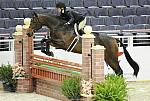 WIHS1-10-26-10-Cl3-GrConfHtr-7645-Surely-PegSeals-DDeRosaPhoto.jpg