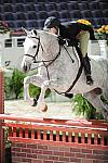 WIHS2-10-27-10-GrConfHtrStke-Cl5-0018-VanGogh-EhrinRittmueller-DDeRosaPhoto.jpg