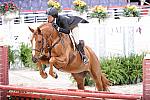 WIHS2-10-27-10-GrConfHtrStke-Cl5-0077-CoverArt-WinnAlden-DDeRosaPhoto.jpg