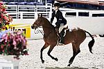 WIHS3-10-31-10-Cl123-LgPnyHtr-9896-WoodlandsMistyRain-KatherineStrauss-DDeRosaPhoto.jpg