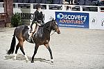 WIHS4-10-31-10-Cl124-LgPnyHtr-0100-EliteStormFront-CarolineKellogg-DDeRosaPhoto.jpg