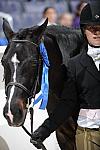 WIHS4-10-31-10-Cl124-LgPnyHtr-0121-FranklinsTower-RachelTavelman-DDeRosaPhoto.jpg