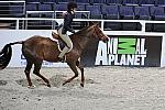 WIHS3-10-31-10-Cl113-MedPnyHtr-9463-Cosmic-CarolineKellogg-DDeRosaPhoto.jpg