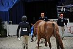 WIHS3-10-31-10-Cl113-MedPnyHtr-9574-EverLuvin-VictoriaColvin-DDeRosaPhoto.jpg