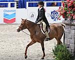 WIHS3-10-31-10-Cl114-MedPnyHtr-9596-Cosmic-CarolineKellogg-DDeRosaPhoto.jpg