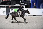 WIHS3-10-31-10-Cl114-MedPnyHtr-9749-Denmark-VictoriaPress-DDeRosaPhoto.jpg