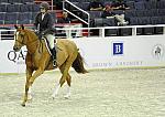 WIHS-10-26-10-Cl13-RgConfHtr-7522-Quintin-HavensSchatt-DDeRosaPhoto.jpg