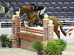 WIHS-10-26-10-Cl13-RgConfHtr-7558-Quintessential-IsabellaNorton-DDeRosaPhoto.jpg