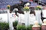 WIHS2-10-27-10-Cl44-RgWkgHtrStke-0323-Vicarious-JillShull-DDeRosaPhoto.jpg