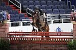 WIHS2-10-27-10-Cl44-RgWkgHtrStke-0327-Virtue-WinnAlden-DDeRosaPhoto.jpg