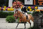 WIHS2-10-27-10-Cl44-RgWkgHtrStke-0348-Overseas-JohnFrench-DDeRosaPhoto.jpg
