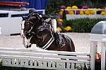 WIHS2-10-27-10-Cl44-RgWkgHtrStke-0350-Namesake-MaggieJayne-DDeRosaPhoto.jpg