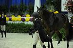 WIHS2-10-27-10-Cl44-RgWkgHtrStke-0409-DDeRosaPhoto.jpg