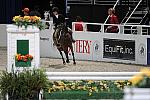 WIHS3-10-31-10-9378-Houdini-EmmaWujek-DDeRosaPhoto.jpg