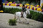 WIHS3-10-31-10-Cl103-SmPnyHtr-9178-HillcrestBlueGemStone-YasminRizvi-DDeRosaPhoto.jpg