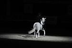 WIHS2-10-29-10-6417-PamGoodrich-Lamborghini-DDeRosaPhoto.JPG