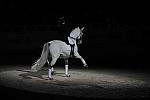 WIHS2-10-29-10-6527-PamGoodrich-Lamborghini-DDeRosaPhoto.JPG