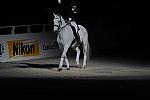 WIHS2-10-29-10-6537-PamGoodrich-Lamborghini-DDeRosaPhoto.JPG