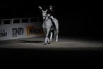 WIHS2-10-29-10-6539-PamGoodrich-Lamborghini-DDeRosaPhoto.JPG