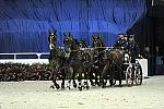 WIHS2-10-28-10-4664-ChesterWeber-DDeRosaPhoto.JPG