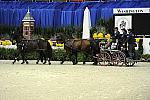 WIHS2-10-28-10-4668-ChesterWeber-DDeRosaPhoto.JPG