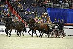 WIHS2-10-28-10-4674-ChesterWeber-DDeRosaPhoto.jpg