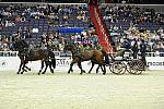 WIHS2-10-28-10-4675-ChesterWeber-DDeRosaPhoto.jpg