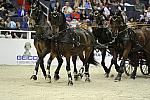 WIHS2-10-28-10-4690-ChesterWeber-DDeRosaPhoto.JPG