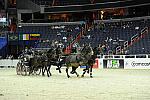 WIHS2-10-28-10-4700-ChesterWeber-DDeRosaPhoto.jpg
