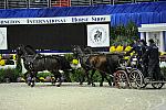 WIHS2-10-28-10-4715-ChesterWeber-DDeRosaPhoto.jpg