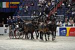 WIHS2-10-30-10-8678-ChesterWeber-DDeRosaPhoto.jpg