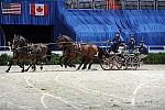 WIHS2-10-30-10-8683-ChesterWeber-DDeRosaPhoto.jpg