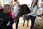 KIDS_DAY-WIHS3-10-30-10-DSC_8238-DDeRosaPhoto.jpg