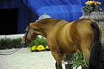 WEG_8316.jpg