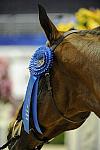 WIHS1-10-26-10-Cl43-RgWkgHndyHtr-8668-DDeRosaPhoto.jpg