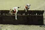 WIHS2-10-28-10-4629-DDeRosaPhoto.jpg