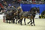 WIHS2-10-28-10-4671-DDeRosaPhoto.jpg