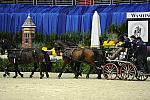 WIHS2-10-28-10-4679-DDeRosaPhoto.jpg