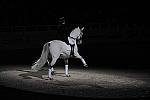 WIHS2-10-29-10-6527-PamGoodrich-Lamborghini-DDeRosaPhoto.jpg
