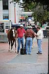 WIHS2-2010-WEG_0626-DDeRosaPhoto.jpg