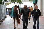 WIHS2-2010-WEG_0632-DDeRosaPhoto.jpg