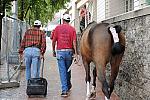 WIHS2-2010-WEG_0642-DDeRosaPhoto.jpg