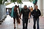 WIHS2-2010-WEG_0632-DDeRosaPhoto.jpg