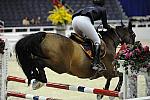 WIHS2-10-30-10-8031-DDeRosaPhoto.jpg