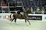 WIHS-10-26-10-Cl187-WIHSAdHtrCh-9882-WiseCounsel-JessicaLohman-DDeRosaPhoto.jpg