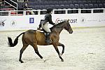 WIHS1-10-26-10-Cl186-WIHS_ChHtrCH-9499-ForTheFun-KaylenSchwartz-DDeRosaPhoto.jpg